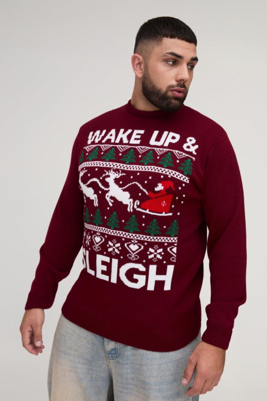 Плюс різдвяний джемпер Wake Up & Sleigh Плюс різдвяний джемпер Wake Up & Sleigh