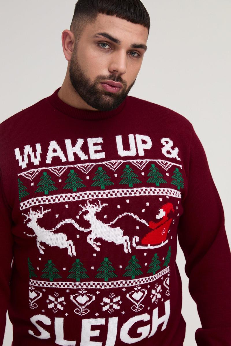 Плюс різдвяний джемпер Wake Up & Sleigh